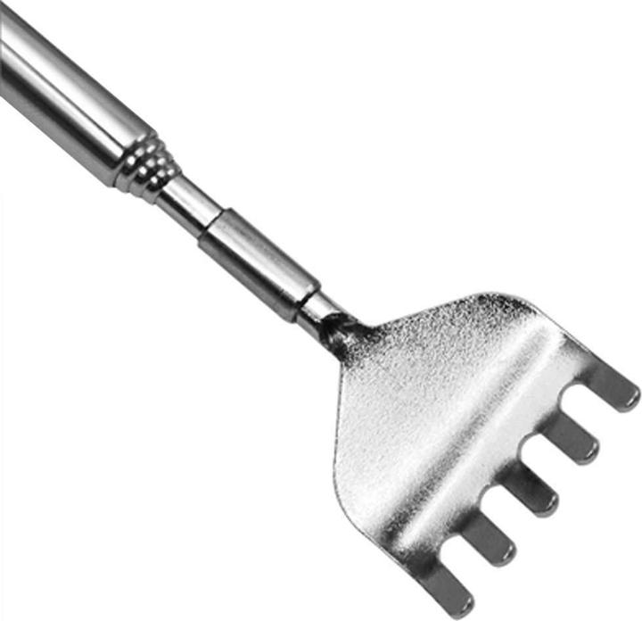Actual product image JTI Extendable back scraper