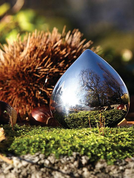 Actual product image Alessi Chestnut Pill Box