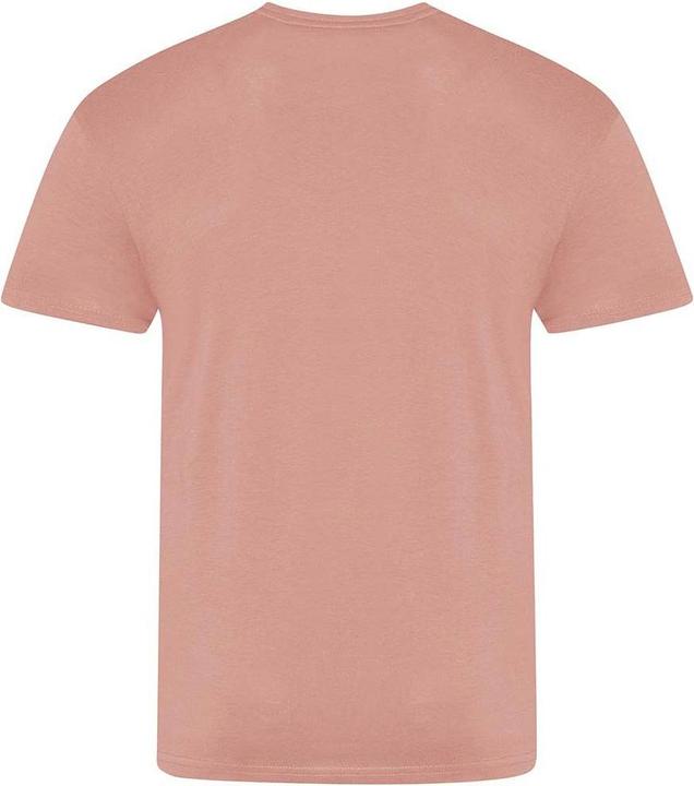Actual product image Awdis The 100 Tshirt (M)
