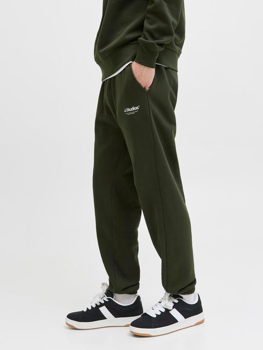 Actual product image Jack & Jones Regular Fit Relaxed Fit Hosen Relaxed Fit Hosen (XS)