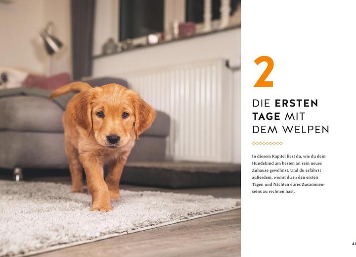 Image du produit Der Welpen-Alltags-Helfer (Allemand, Petra Frey, 2023)