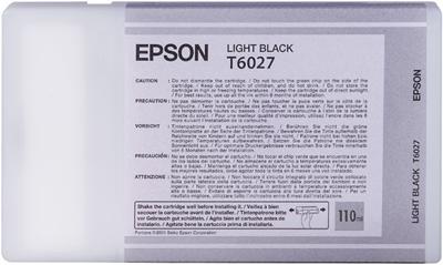 Actual product image Epson T6027 (LBC)