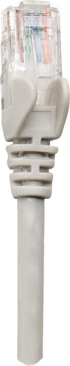 Actual product image Intellinet Patch cable (U/UTP, CAT5e, 0.25 m)