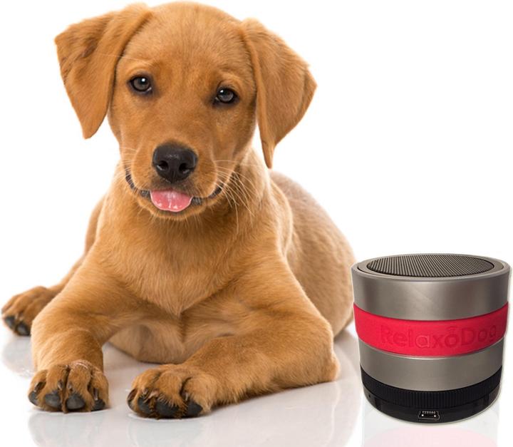 Immagine prodotto RelaxoPet RelaxoDog Smart (Cane)