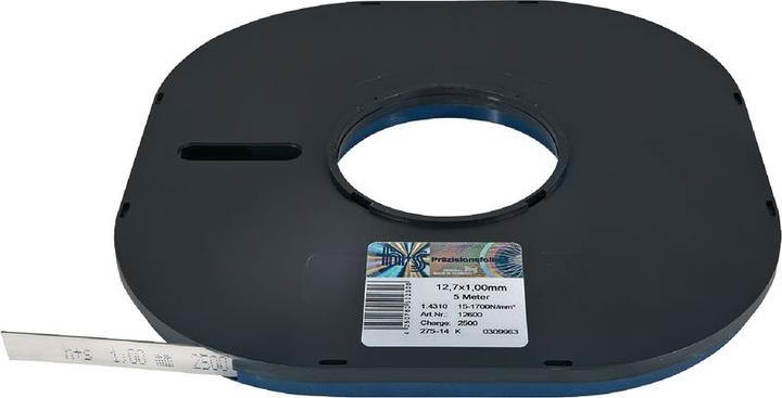Actual product image H+S Precision gauge strip