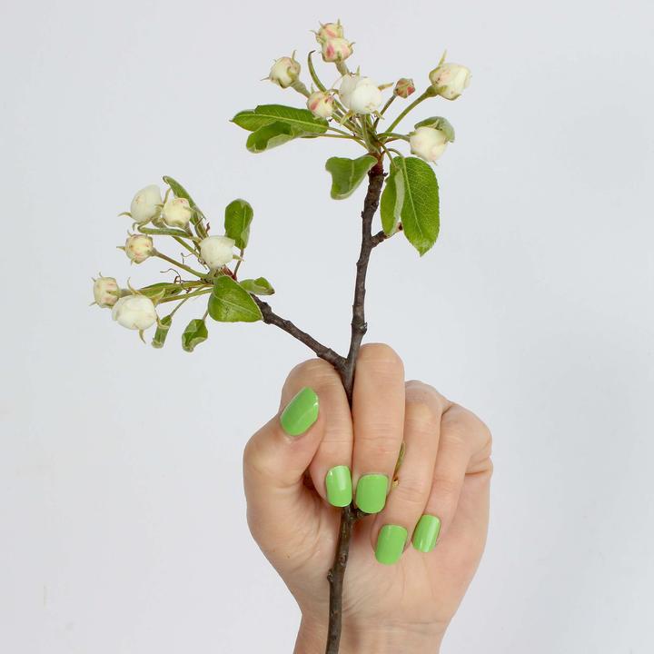 Image du produit Vargu vert solide (Vert solide Vert)