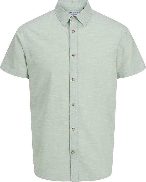 Iceberg Green