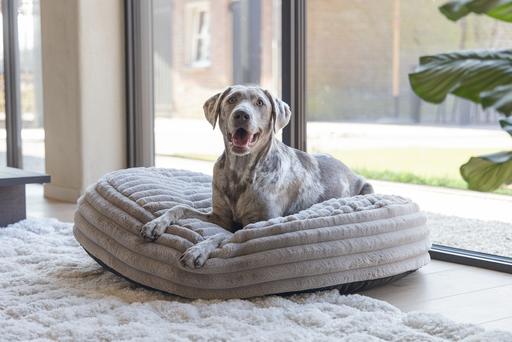 Actual product image Designed by Lotte Reza reclining cushion (Dog)