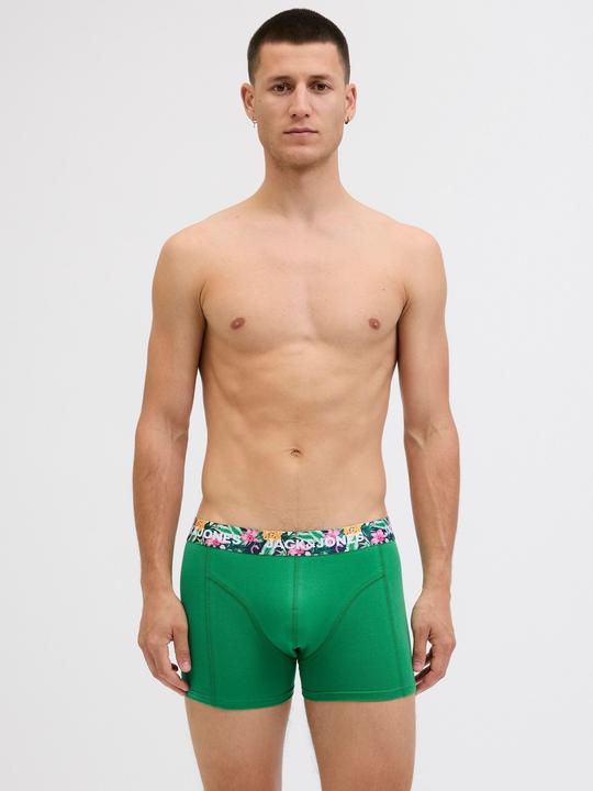 Immagine prodotto Jack & Jones 12er-pack Trunks Trunks (M, confezione da 12)