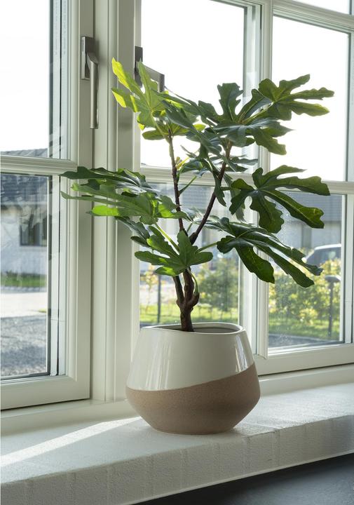 Actual product image House Nordic Fig (60 cm)