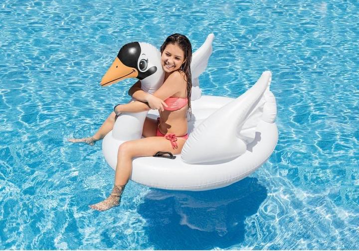 Actual product image Intex Swan ride-on