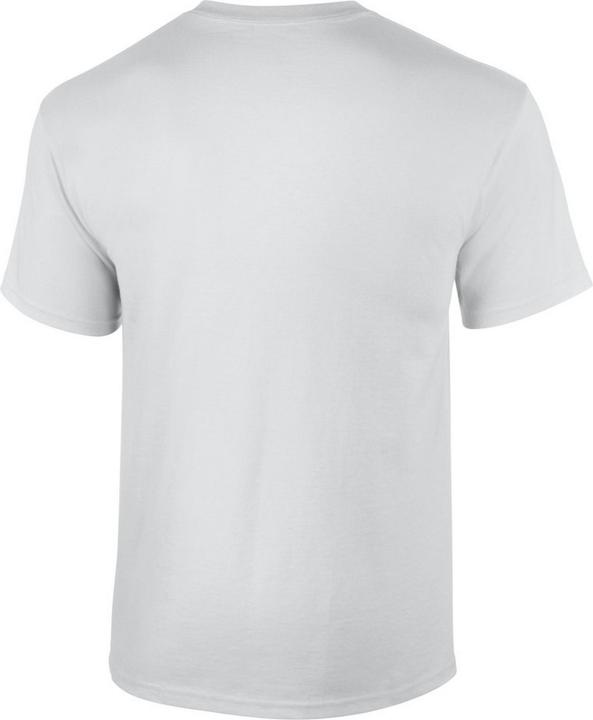Produktbild Gildan TShirt (4XL)
