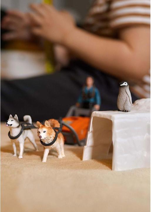 Produktbild Schleich Antarktis Expedition