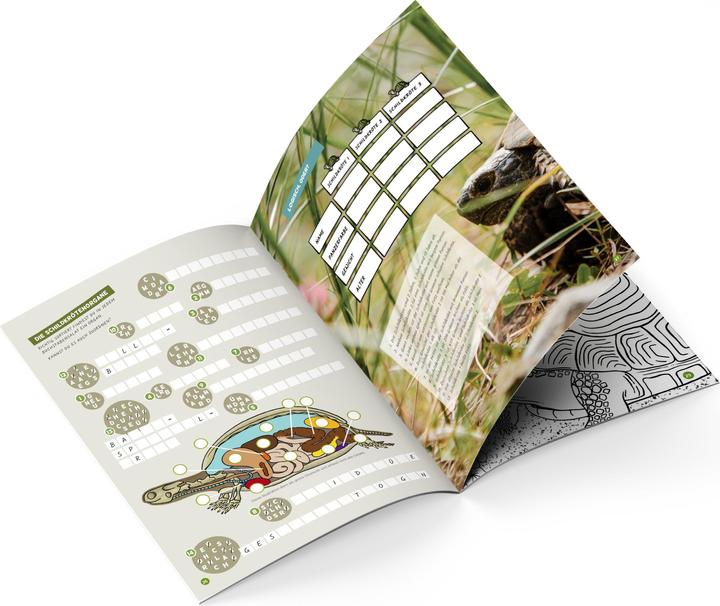 Produktbild Faszination Schildkröte - das besondere Rätsel-, Mal- und Wissensbuch