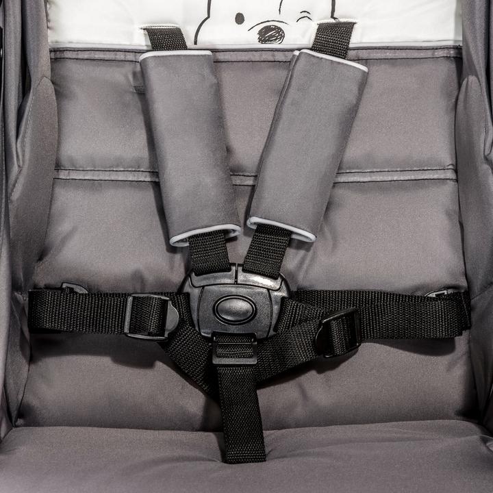 Actual product image Hauck Shopper Neo II