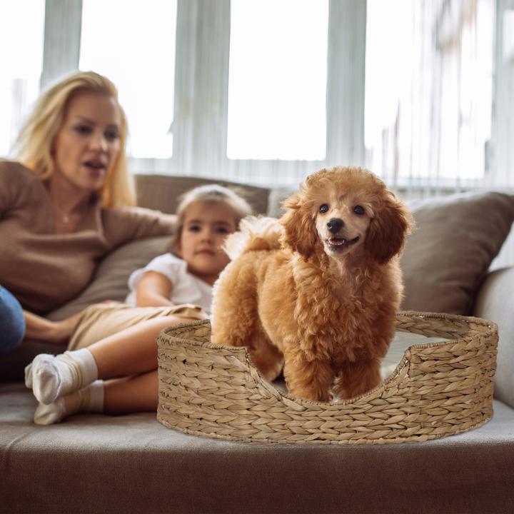Actual product image Relaxdays pet bed (Dog, Cat)