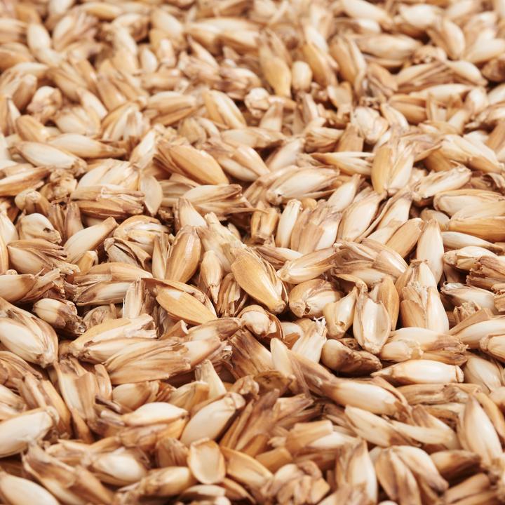 Produktbild VBS Dinkelspreu, Füllmaterial, 250g (Beige)