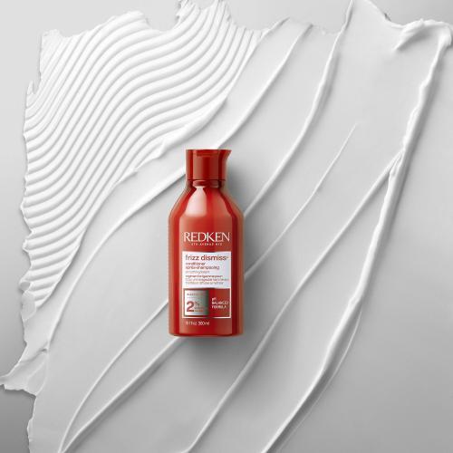 Image du produit Redken Frizz Dismiss (300 ml)