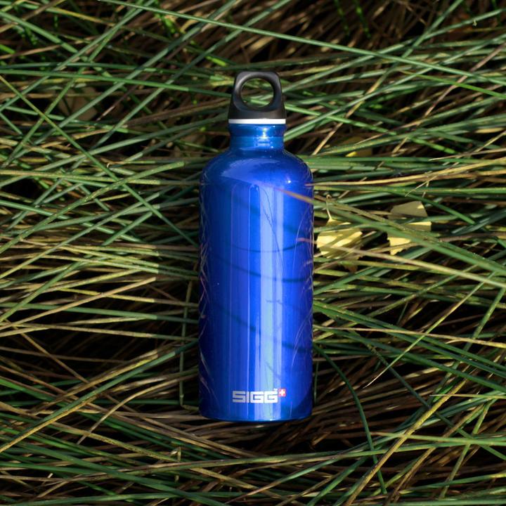 Image du produit Sigg Traveller (0.60 l)