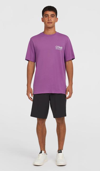 Actual product image O'Neill Hybrid Chino 19 Shorts (L)