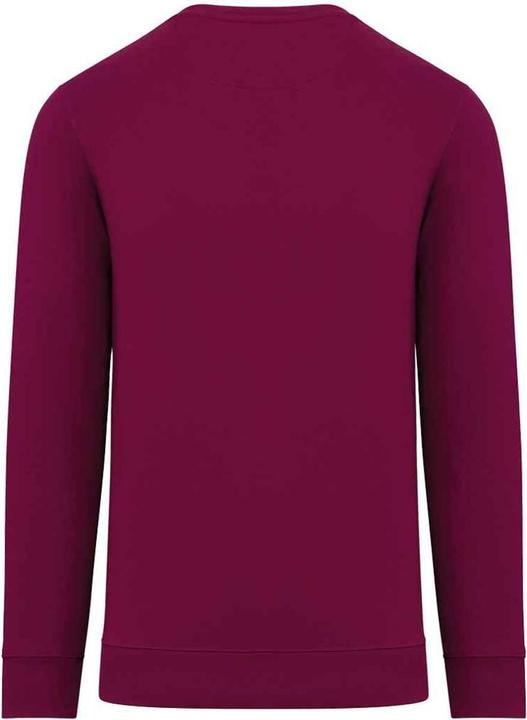 Produktbild Native Spirit Sweatshirt Rundhalsausschnitt (XXS)