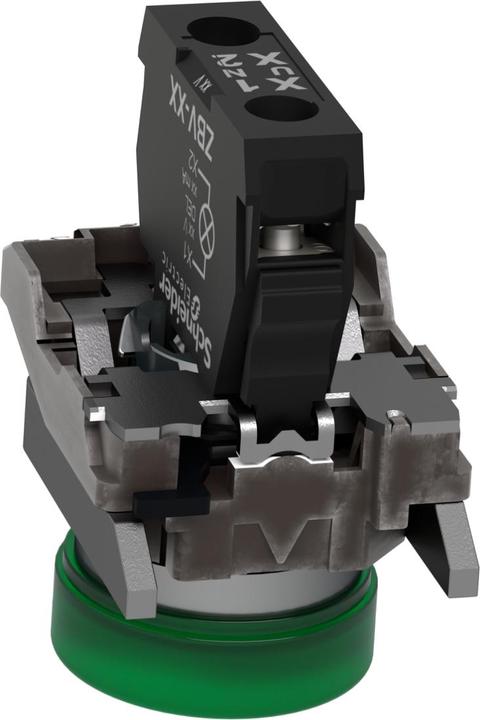 Image du produit Schneider Electric Voyant lumineux LED 48-120VAC vert XB4BVG3