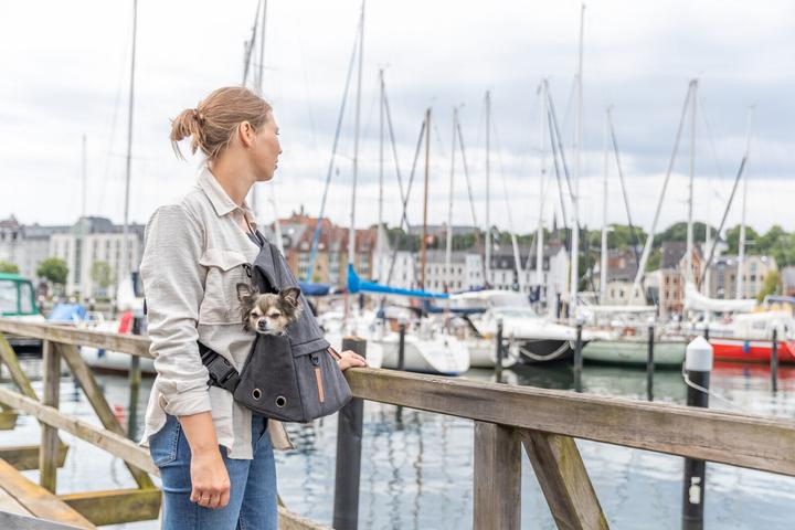 Produktbild Trixie Tiertransport-Rucksack Be Nordic Bjorn (Hund, Atmungsaktiv)