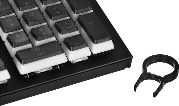 Actual product image Endorfy Omnis keyboard USB QWERTY Black (Eng. Int., Cable)