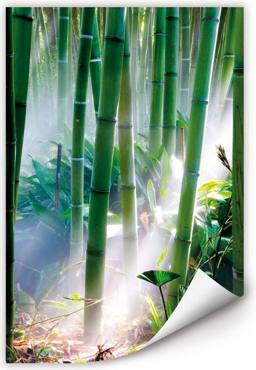 Produktbild Trenddeko Bamboo Forest (40 x 60 cm)