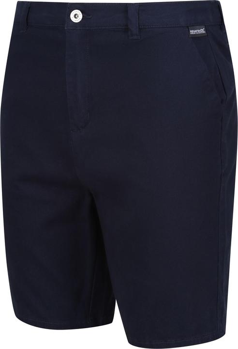 Actual product image Regatta Mens Sabden Chino Shorts (40)