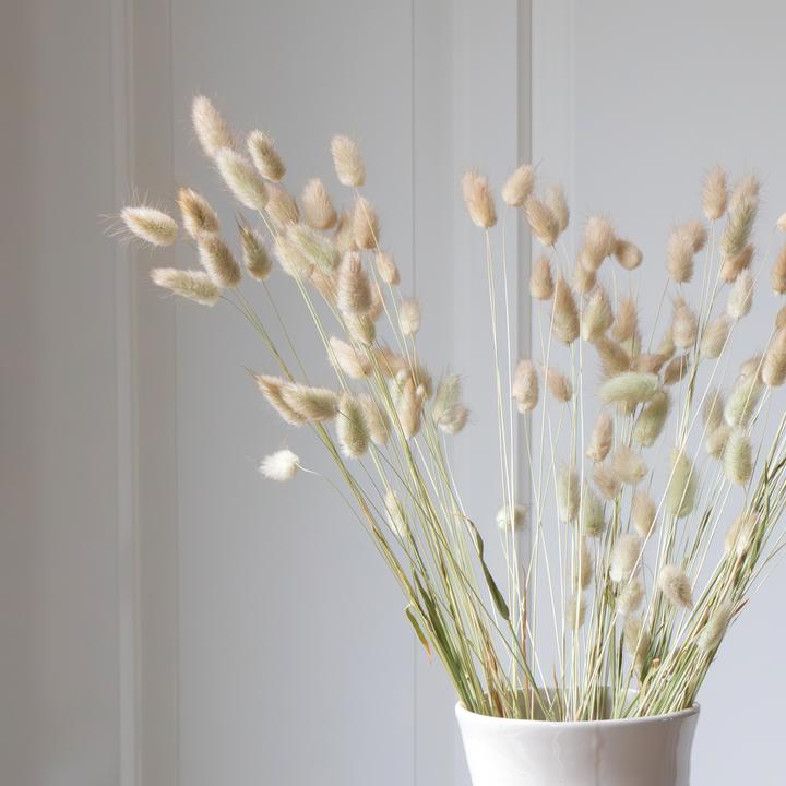 Image du produit Plant in a Box - (50 cm)