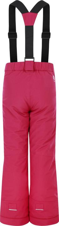 Actual product image Dare2b Childrens/Kids Outmove II Ski Trousers (170)