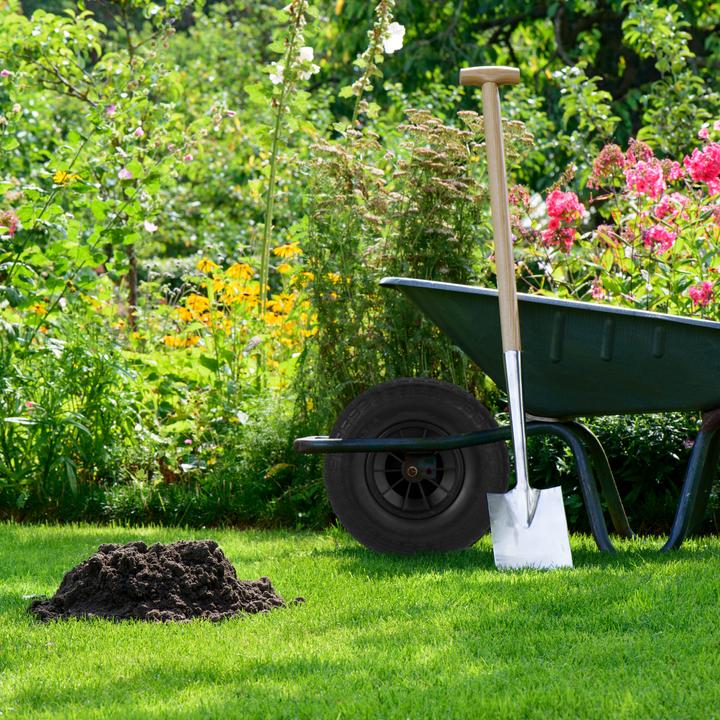 Actual product image Relaxdays Wheelbarrow wheel