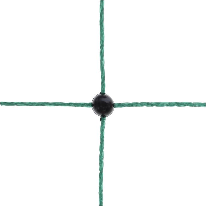 Actual product image AKO Poultry net