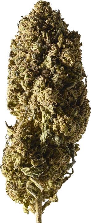 Actual product image Herba di Berna Mango Haze (45 g, Outdoor)