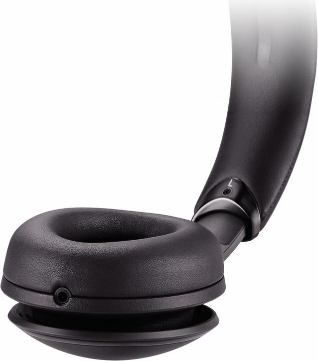 Actual product image Panasonic RP-HD605N (ANC, 20 h, Cable)