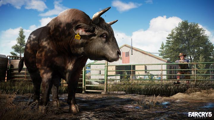 Actual product image Ubisoft Far Cry 4 + Far Cry 5 Double Pack (PS4, DE)