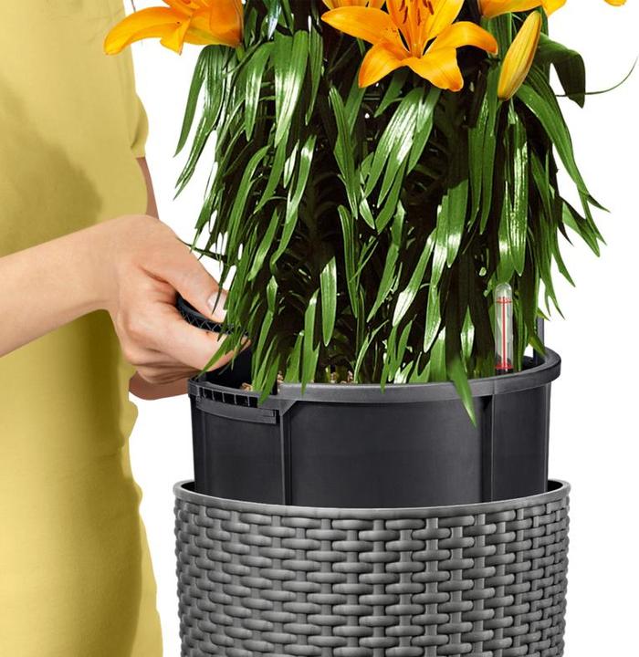 Actual product image Lechuza CILINDRO Cottage 23 (23 cm)