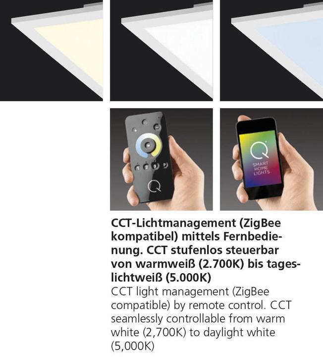 Immagine prodotto Paul Neuhaus Q bandiera (5200 lm)