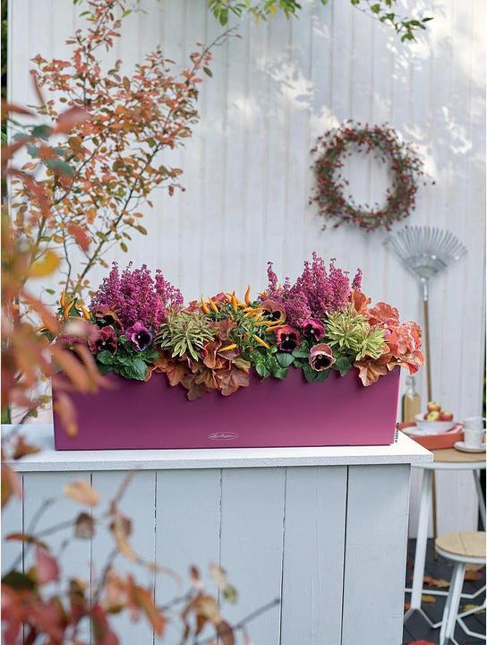 Produktbild Lechuza Balconera Color (19 cm)