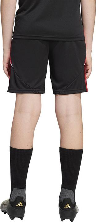 Actual product image adidas TIRO24 TRSHOY (176)