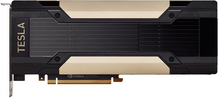 Actual product image PNY Tesla V100 module (32 GB)