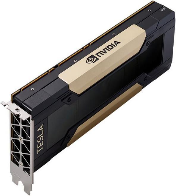 Actual product image PNY Tesla V100 module (32 GB)
