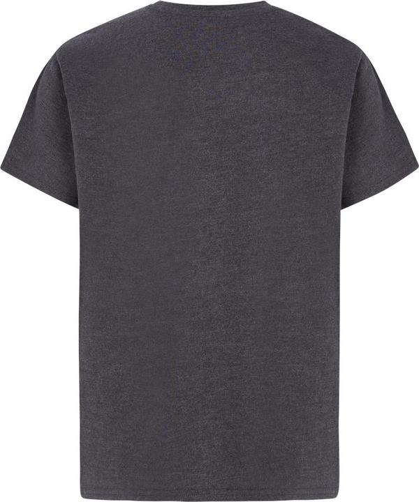 Actual product image Protest T-SHIRT PRTFINCE JR t-shirt (176)