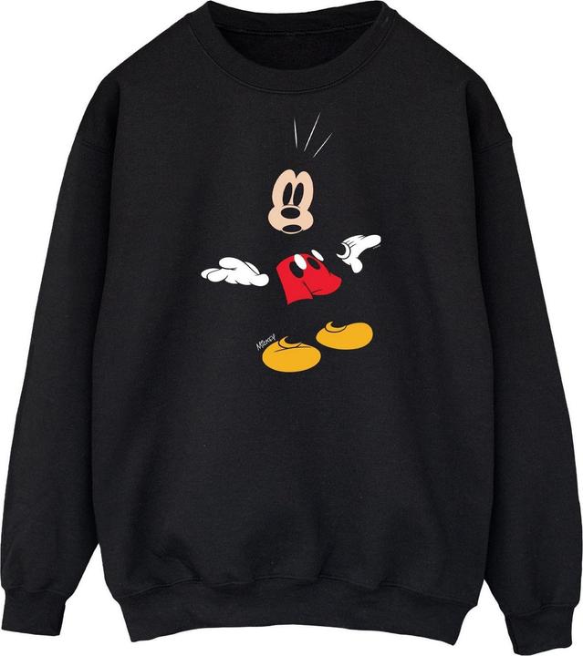 Disney Sweatshirt (3XL)