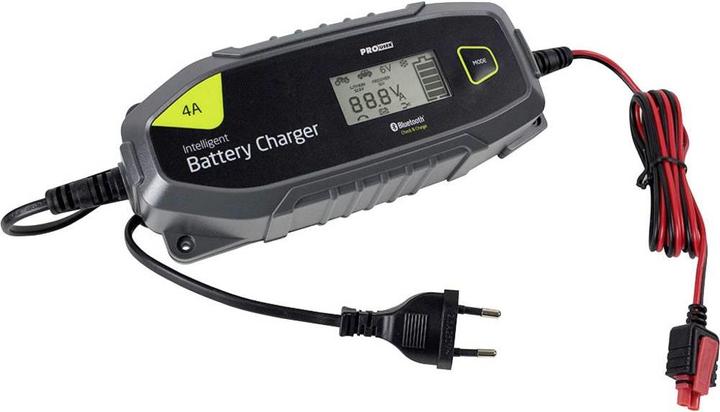 ProUser Microprocessor chargertooth4A (6V, 12V, 4 A)