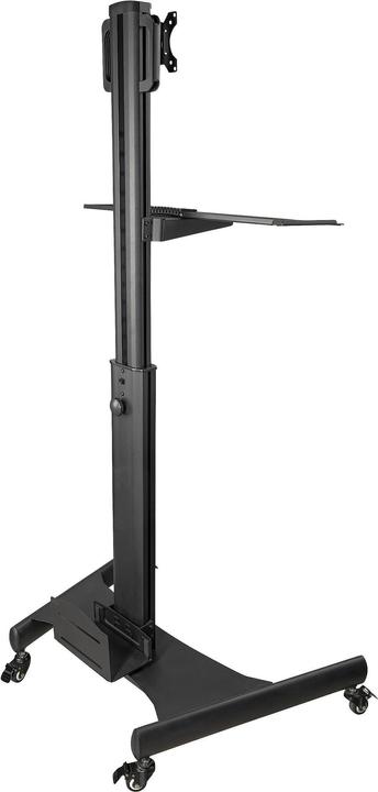 Actual product image StarTech com Pupitre de Travail Mobile avec Support Écran - Support pour Tour PC et Clavier - Chario (Table)