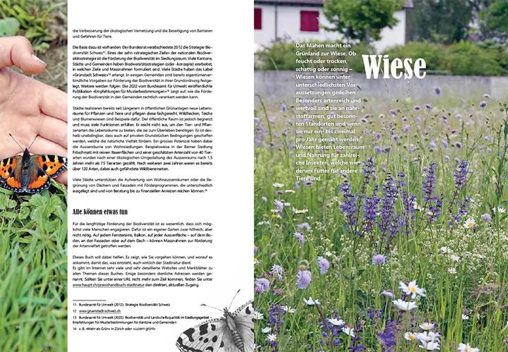 Produktbild Praxishandbuch Stadtnatur (Deutsch, Andrea Haslinger, Sabine Tschäppeler, 2024)