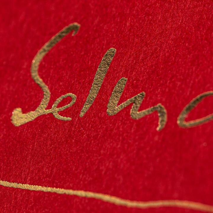 Produktbild Selma - oder was ist Glück? - Premiumausgabe (Deutsch, Jutta Bauer, 2020)