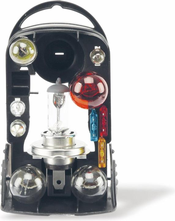 Actual product image Dunlop Lamp set (H4)
